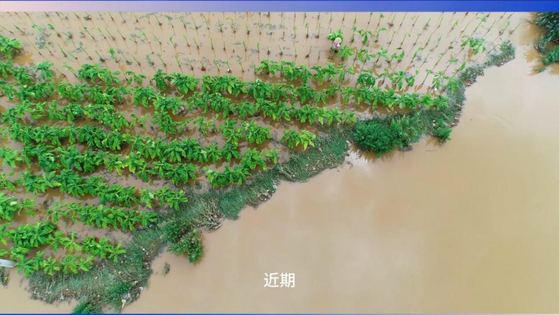 大禹节水：严阵以待，共筑防汛抗旱屏障
