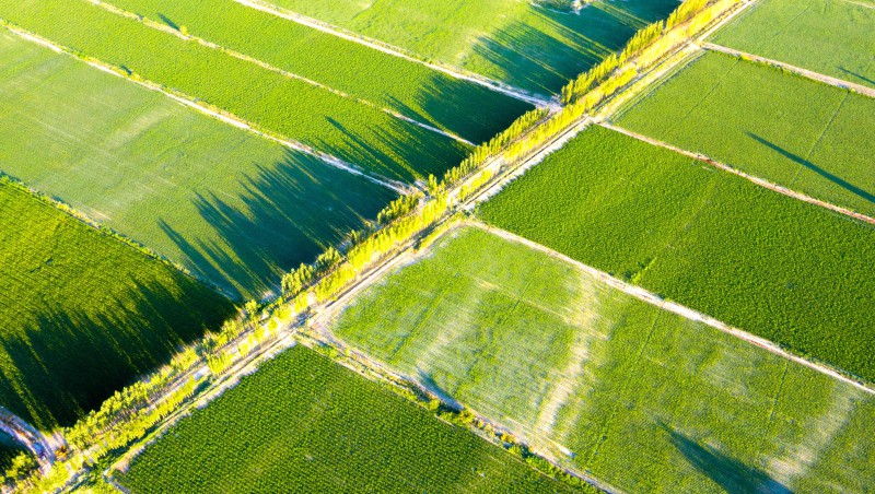 中国水周｜祝贺大禹集团运营的新疆沙雅县入选2025中国节水十大经典案例