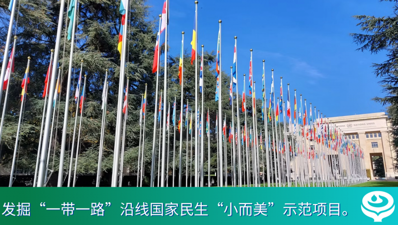 大禹动态｜大禹集团与国际小水电中心签订战略合作，携手国际组织聚力全球水治理